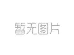 王·亨宁（Wang Huning）领导全国中国人民咨询会议